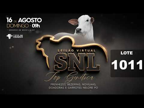 LOTE 1011   HVP 4611