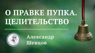 О правке пупка. Целительство | Александр Шевцов