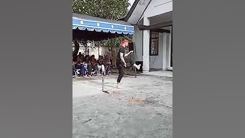 Kuntau dayak Siang 😎😎