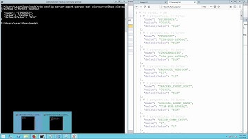 Managing Control-M Agent parameters, such as Hostname using the Automation API
