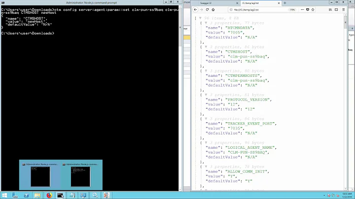 Managing Control-M Agent parameters, such as Hostname using the Automation API