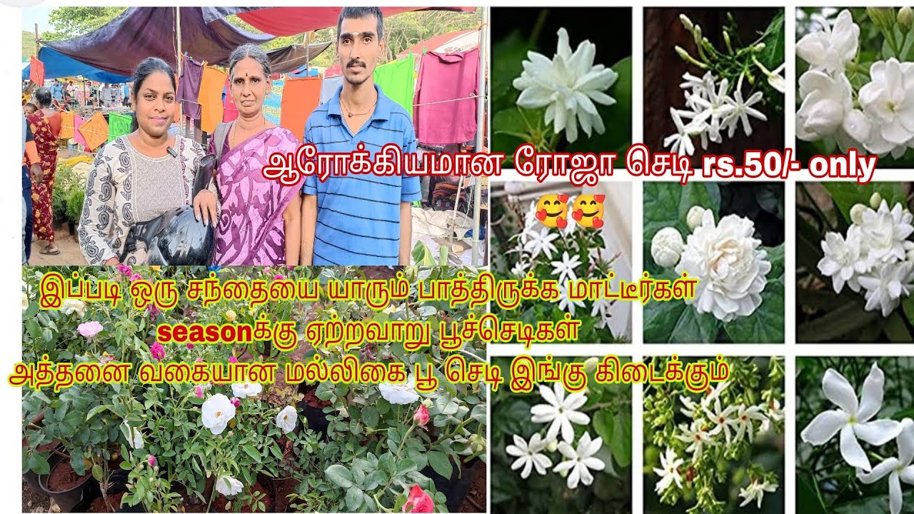 இங்கு வந்தால் பூச்செடி வாங்காமல் போக முடியாது | pallavaram Friday market visit with my subscriber