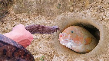 Unbelievable Fishing Technique | Use Snake To Catch Fish In A Pit Deep In The Ground