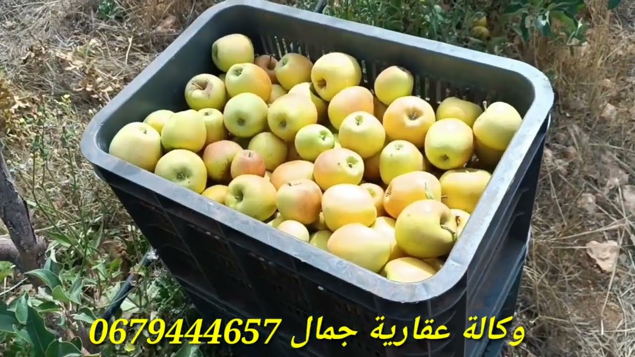 فيرما للبيع 5 هكتار ونصف أرض غرس وزرع فرشة المائية مجودة  أوراق محافظه طريق ضوء