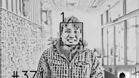 OptiFuzz: A Robust Illumination Invariant Face Recognition System and Its Implementation
