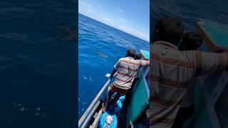 பரய பளள பளல மன