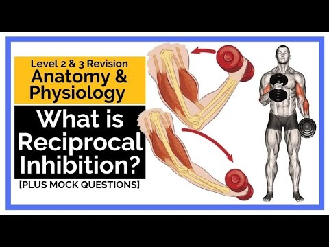 What is Reciprocal Inhibition?