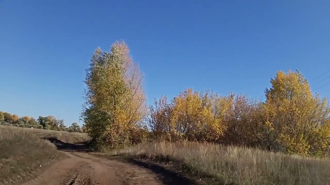 Газель оренбург кинделя