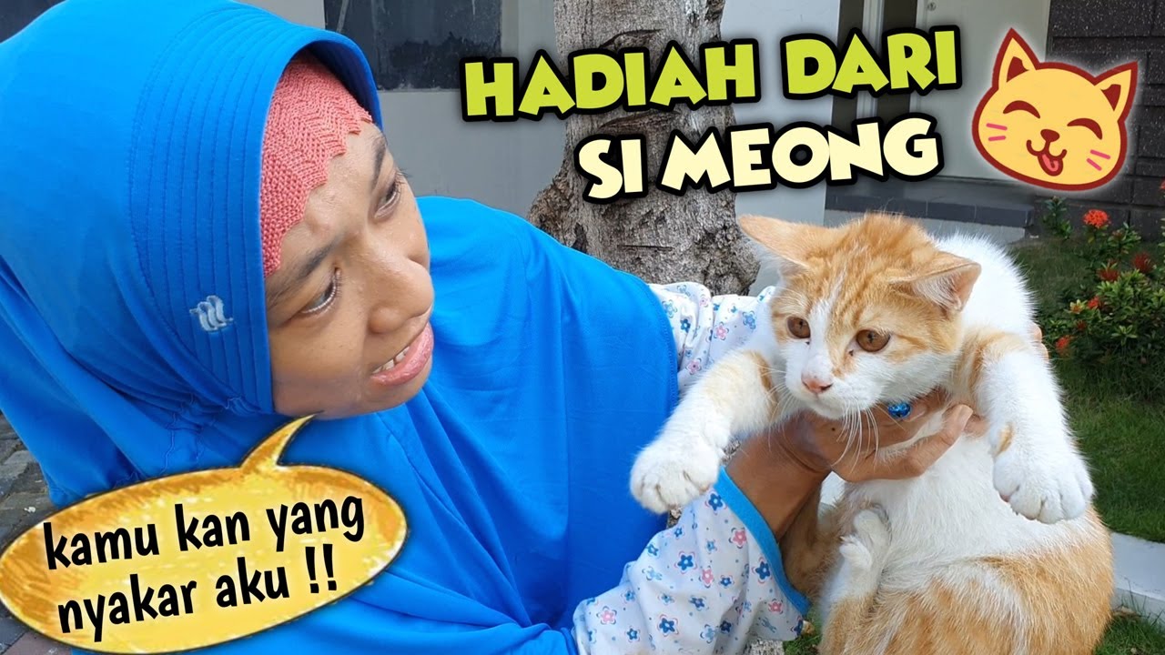 Kunyit Dapat Hadiah Spesial Dari Si Kucing Meong 😄 Asti Kunyit - Bunda Aqilla Eps 49