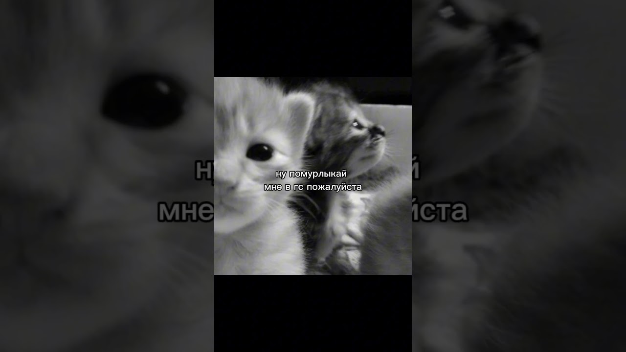 ну пожалуйста 🥺 