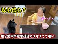 愛犬と娘が意思疎通できすぎてて凄いwお互い喋れないからこそ？