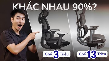 Ghế công thái học & những điều người bán KHÔNG NÓI
