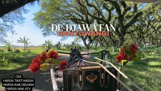 DE-DJAWATAN BANYUWANGI // TIKET MASUK // HARGA NAIK DELMAN DAN ATV // HUTAN MAGIS KAYU TREMBESI