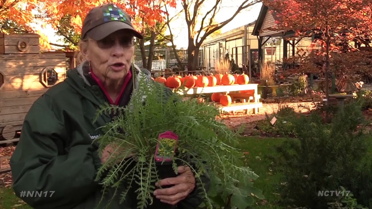 Winterize Your Garden - YouTube
