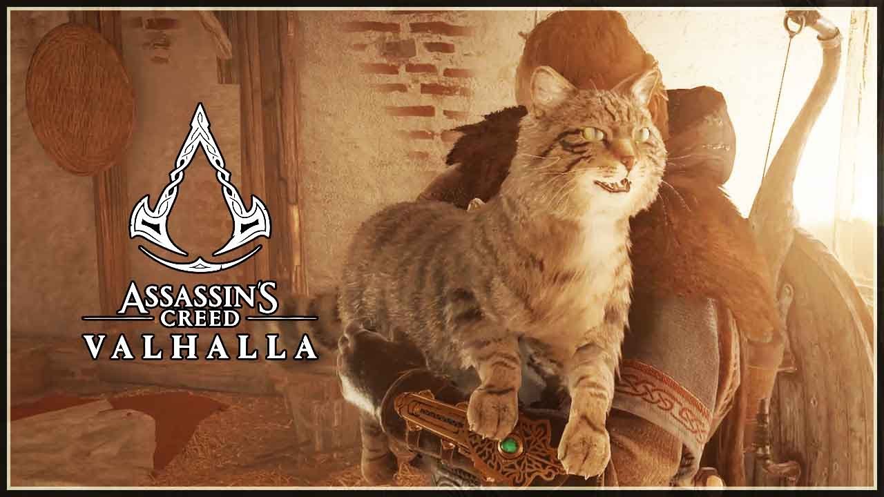 Assassin's Creed Mirage Features a Cat With an Assassin's Creed