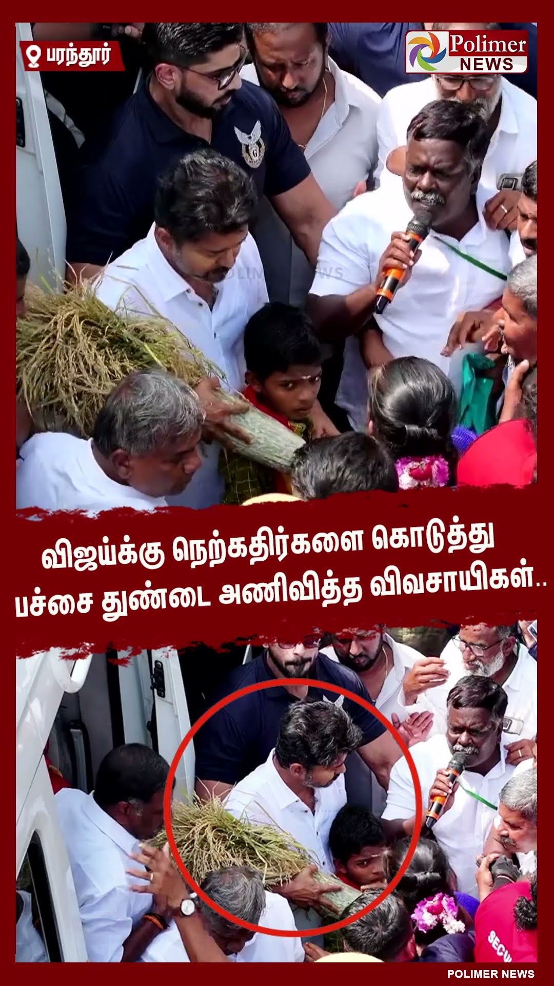 விஜய்க்கு நெற்கதிர்களை கொடுத்து பச்சை துண்டை அணிவித்த விவசாயிகள்.. #shorts | #tvk | #vijay