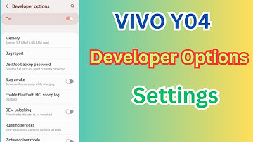 Vivo Y04 Developer Options Settings | Vivo PD2442F Developer Options dpi