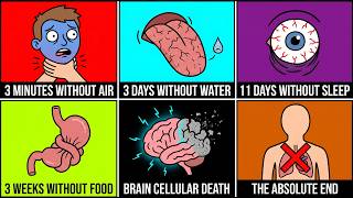 The Absolute Limits of the Human Body (Every Stage Explained)