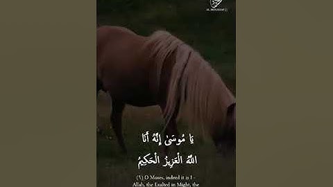 يا موسى إِنَّهُ أَنَا اللَّهُ العَزيزُ الحَكيمُ❤️القارئ احمد_العجمي