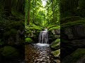 🌊 Tranquil Flow : Nature’s Gentle Symphony