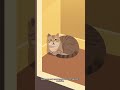 Why Is My Cat Meowing So Much? Common Causes Explained #cat #kitten #cute #pets #cutecat #funnycats