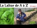 La Laitue A à Z (presque)