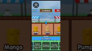 Grow A Garden Seed Pack