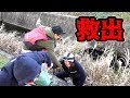 近所の用水路で釣りをしたら予想外の結果になった！！！