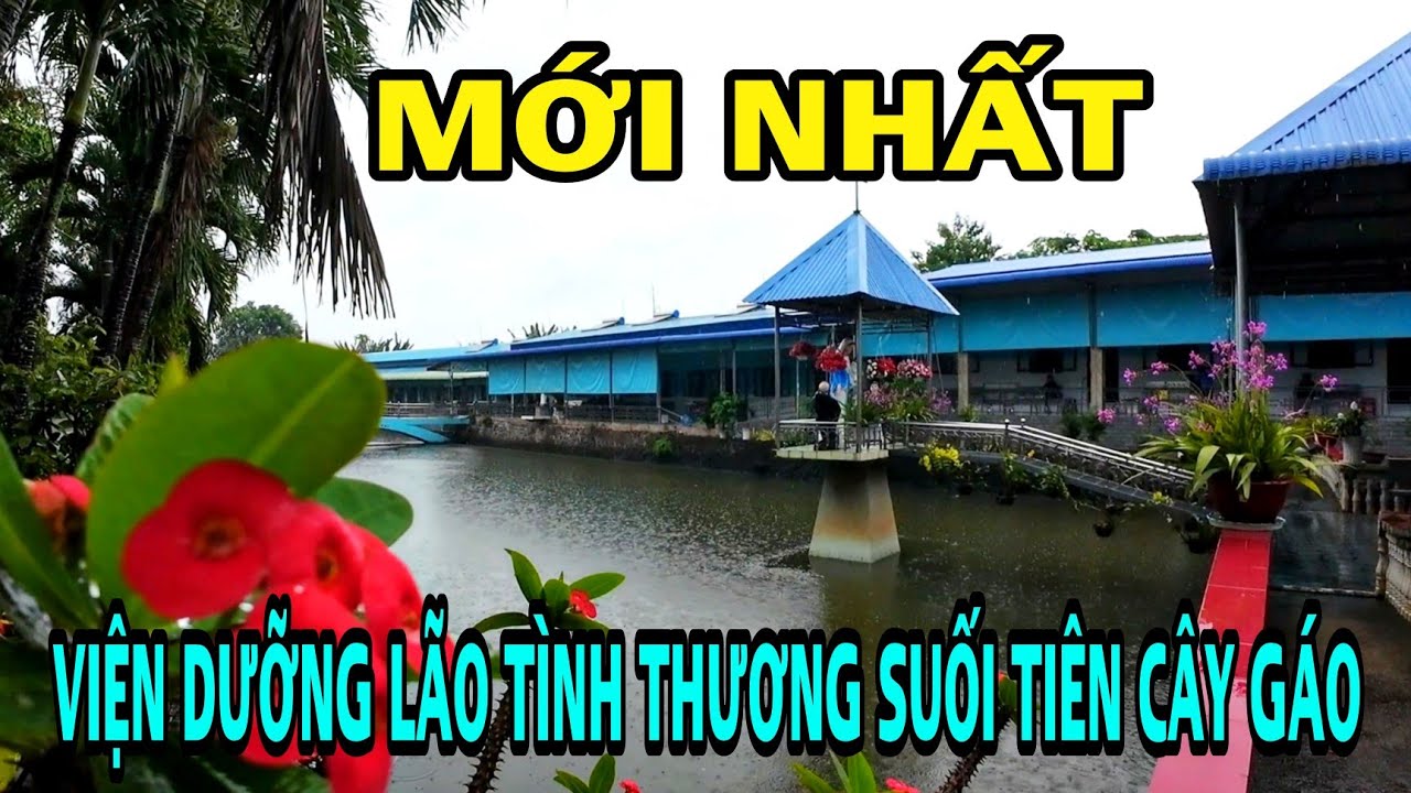 ĐƯỜNG ĐẾN VIỆN DƯỠNG LÃO SUỐI TIÊN CÂY GÁO TRẢNG BOM ĐỒNG NAI .