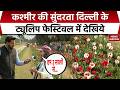Tulip Festival 2026: Delhi में Kashmir की सुंदरता दिल्ली के ट्यूलिप फेस्टिवल में देखिये | NDMC