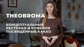 Ресторан Theobroma в Санкт-Петербурге — блюда, интерьер, посуда, концепция