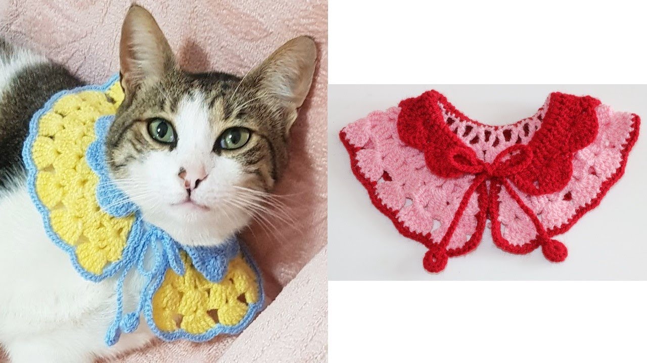 Collar Facil Con Dos Colores A Crochet Para Gatos -Handmade Diy