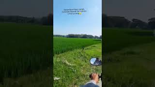 Kembali Pulang shorts shorts  rumah ytshorts
