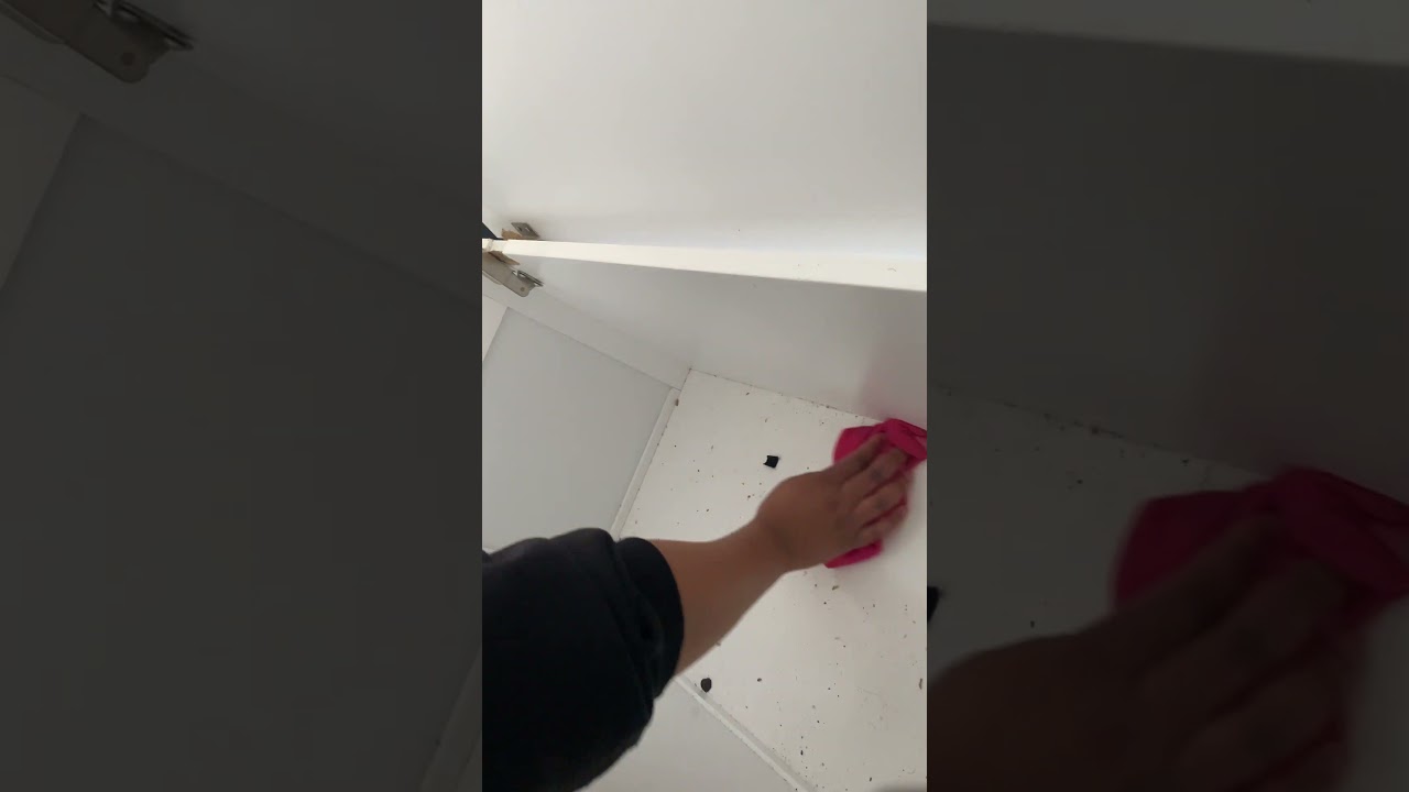 DECLUTTER THE TOY BOX 