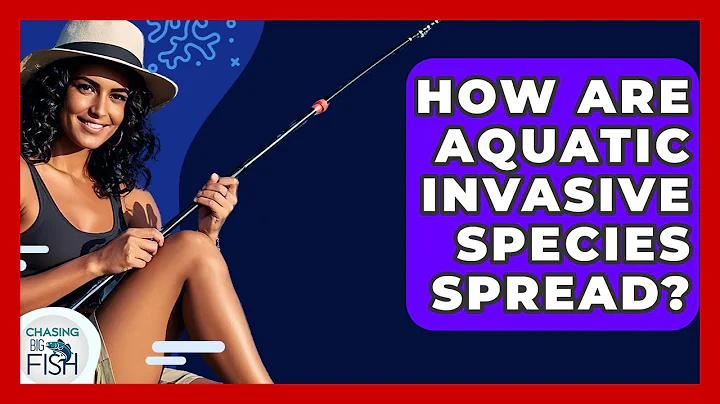 How Are Aquatic Invasive Species Spread? - Chasing Big Fish