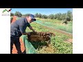 موضوع كيفية تربية الحلزون بالمغرب على الطريقة الإيطالية مع المستشار الفلاحي عبد الرزاق عنيترة 
