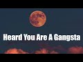 Heard You Are A Gangsta 🎧 Best of EDM Party Electro House