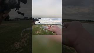 Does A Trailer On A Buzzbait Help You Get More Bites? #jesus #fishing #outdoors #buzzbait