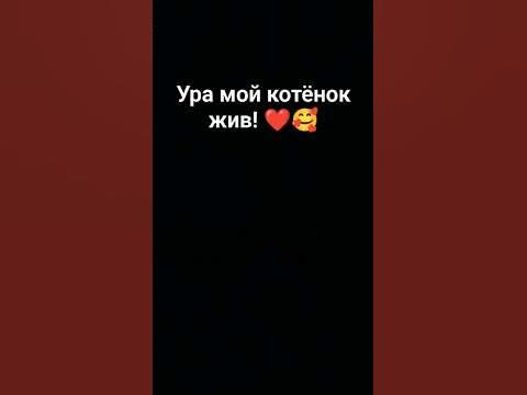 его реально нету😭#рекомендации #грусть #тренд #хочуврекхочувтоп - YouTube