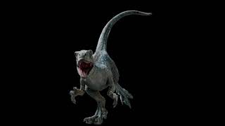 Beta Baby Velociraptor Sounds J.W.D