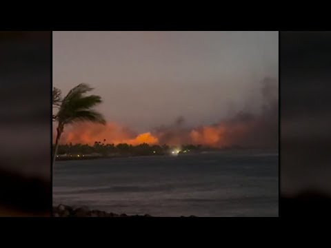 People jump into water to escape Hawaii wildfire