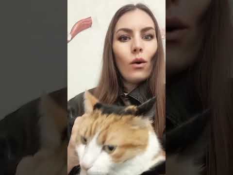 Его турецький серіал або Чоловікам не можна довіряти #shots #ego