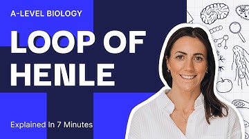 LOOP OF HENLE Explained!