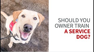 Should you owner train a service dog Five things to consider.