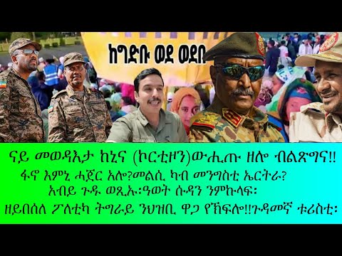 ናይ መውዳእትታ ከኒና ኮርቲዞን ዊሒጡ ዘሎ ብልጽግና ጉዳመኛ ቱሪስቲ ፋኖ እምኒ ሓጀር አሎ