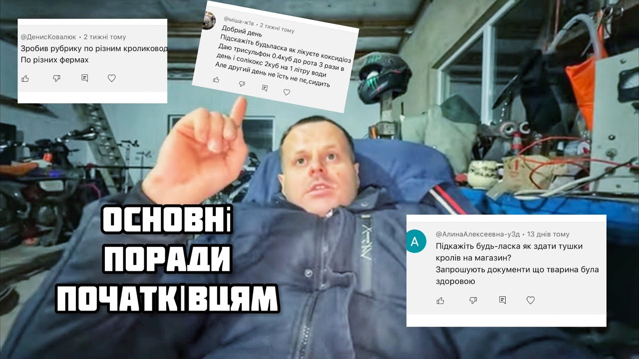 Як лікувати і як зараз продати кролика. Відповів на основні питання підписників