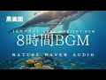 Underwater Ambience with Whales (8 Hours) | Deep Ocean Soundscape 【Black Scleen】