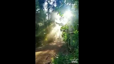 سورة الرحمن ـ الأية (١ ـ ٩) للمقرئ ابراهيم بكير على مقام الكورد