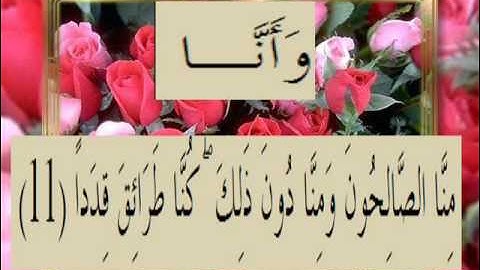القران الكريم سورة الجن الاية 11