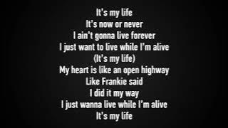 Download lagu Bon Jovi - It's My Life Karaoke (with Back Vocal)